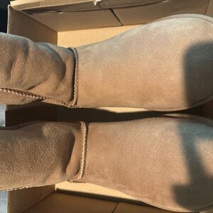 Brand new never warm Uggs
